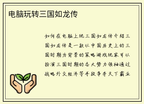 电脑玩转三国如龙传